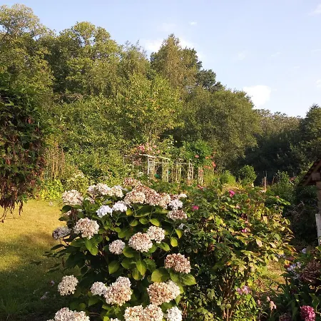 Au Petit Bonheur *